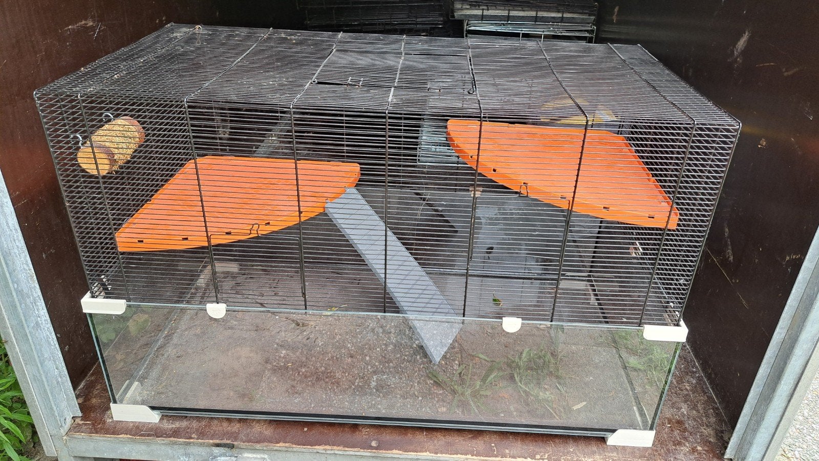Hamster kooi, Ophalen