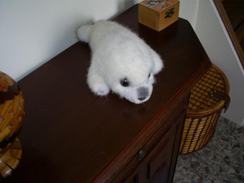Zeehond knuffel, Kinderen en Baby's, Speelgoed | Knuffels en Pluche, Overige typen, Ophalen of Verzenden, Zo goed als nieuw, Middelgroot (20 tot 80 cm)