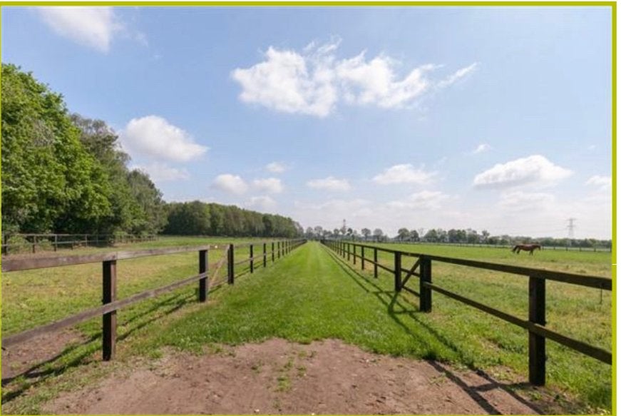We hebben nog stallen beschikbaar., Stalling, 4 paarden of pony's of meer