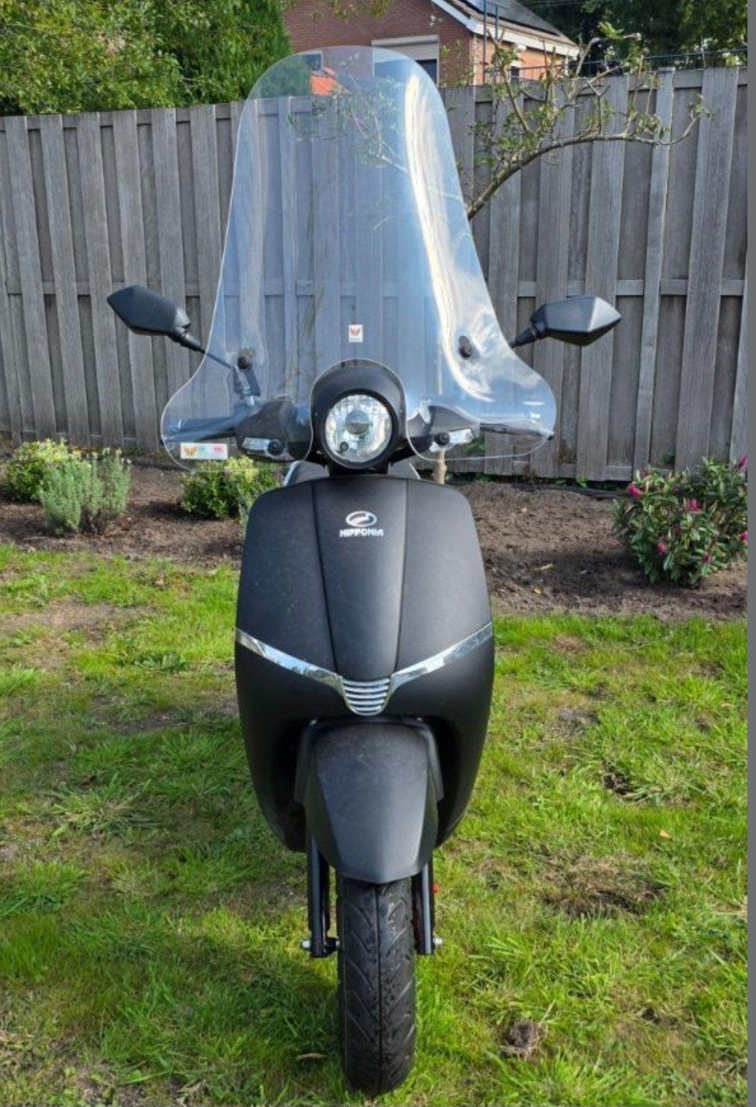 napponia elegance elektrische snor scooter bj 2021, Fietsen en Brommers, Brommers | Overige merken, Maximaal 45 km/u, Zo goed als nieuw