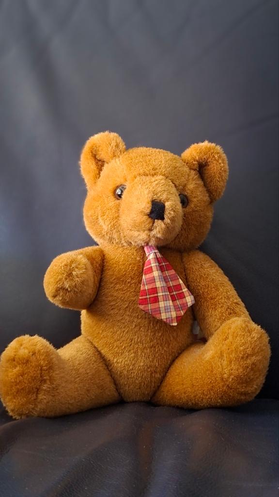 Freddy Teddy Beer Vroom & Dreesmann, Kinderen en Baby's, Speelgoed | Knuffels en Pluche, Ophalen of Verzenden, Zo goed als nieuw