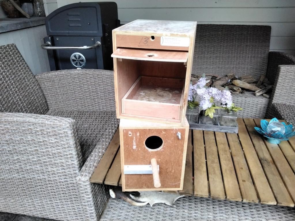 2 broedblokken voor een grote parkiet, Ophalen of Verzenden, Overige typen