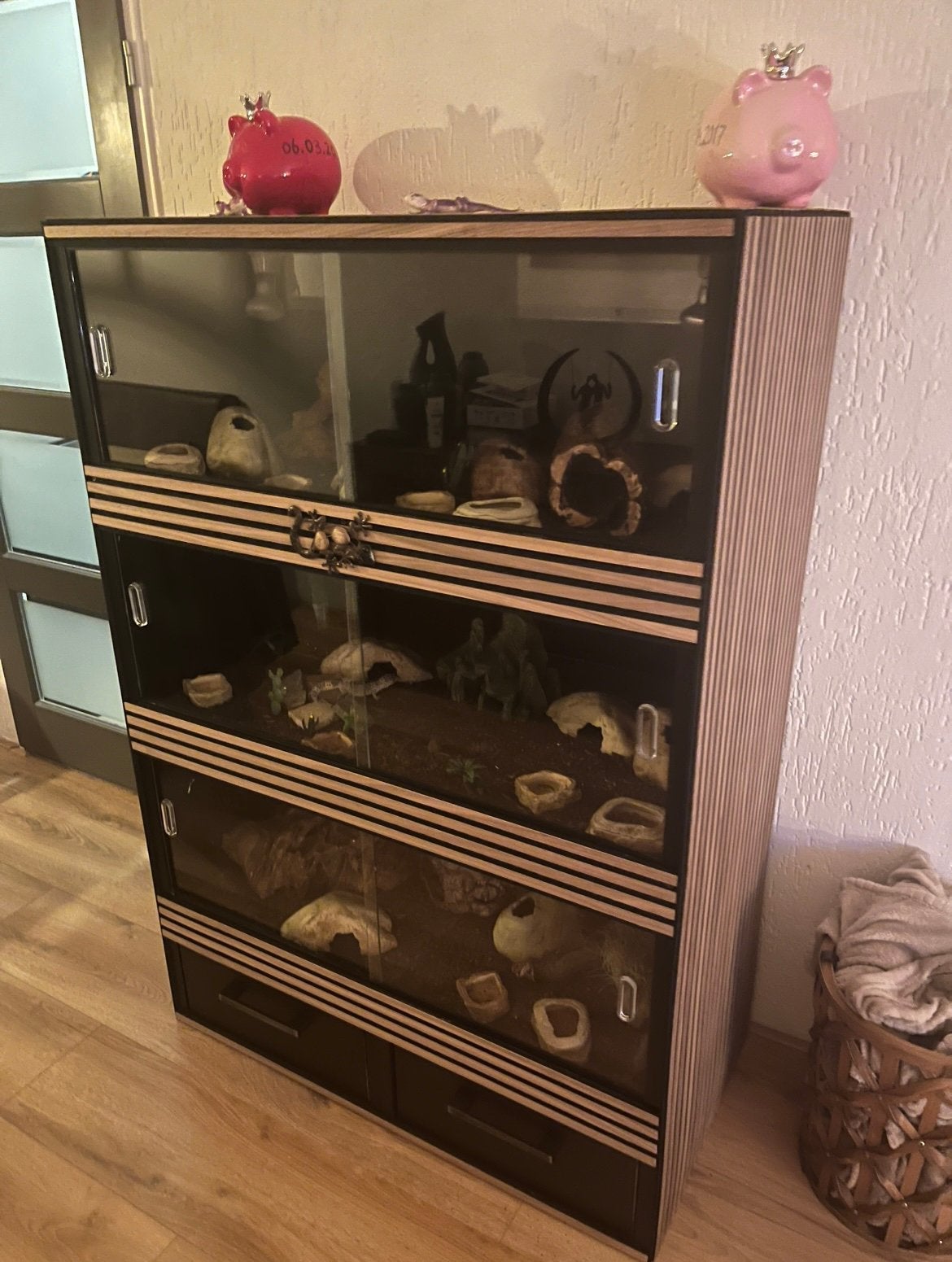 Terrarium incl luipaardgekko s en toebehoren, Dieren en Toebehoren, Reptielen en Amfibieën | Toebehoren, Ophalen