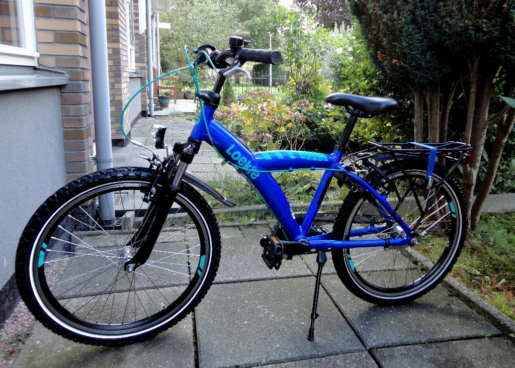 Loekie Batavus snake jogensfiets 22 inch met 3 speed, Ophalen, Terugtraprem, 22 inch, Batavus Snake 22 inch