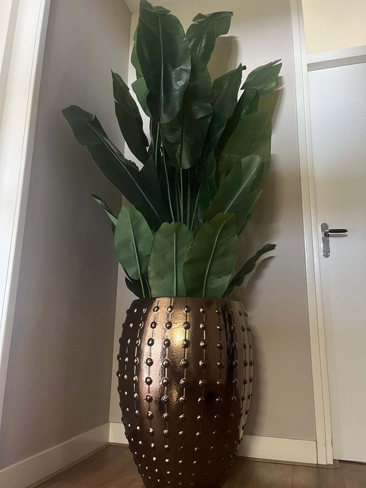 XL Pot Laos Emporer Eric Kuster Incl. XXL Strelitzia Deluxe, Ophalen, Overige materialen, Minder dan 60 cm, Zo goed als nieuw