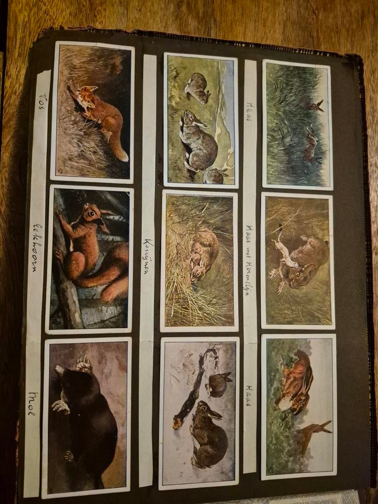 Verkadeplaatjes in album, Ophalen of Verzenden