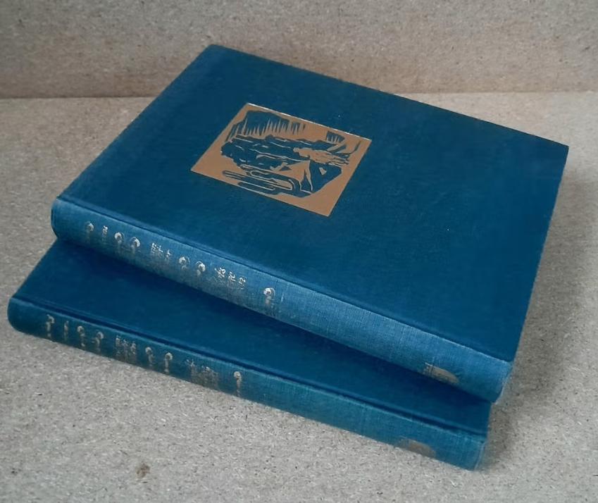 De strijd van het geslacht Macallister - Louis Stevens, Antiek en Kunst, Ophalen of Verzenden, Louis Stevens