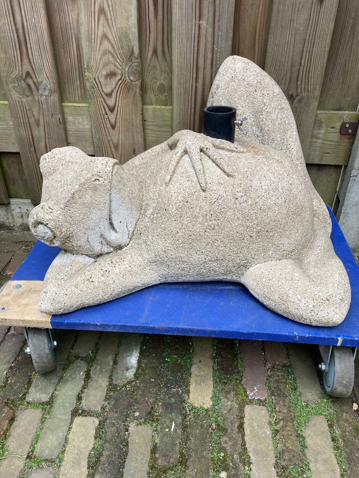 Tuinbeeld kikker van beton, Tuin en Terras, Tuinbeelden, Ophalen, Gebruikt, Beton, Dierenbeeld