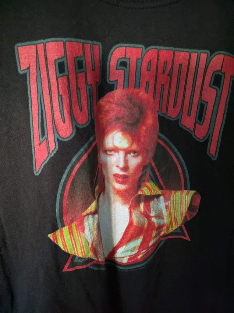 T-shirt David Bowie, Fruit of the Loom, Verzenden, Zwart, Maat 46/48 (XL) of groter