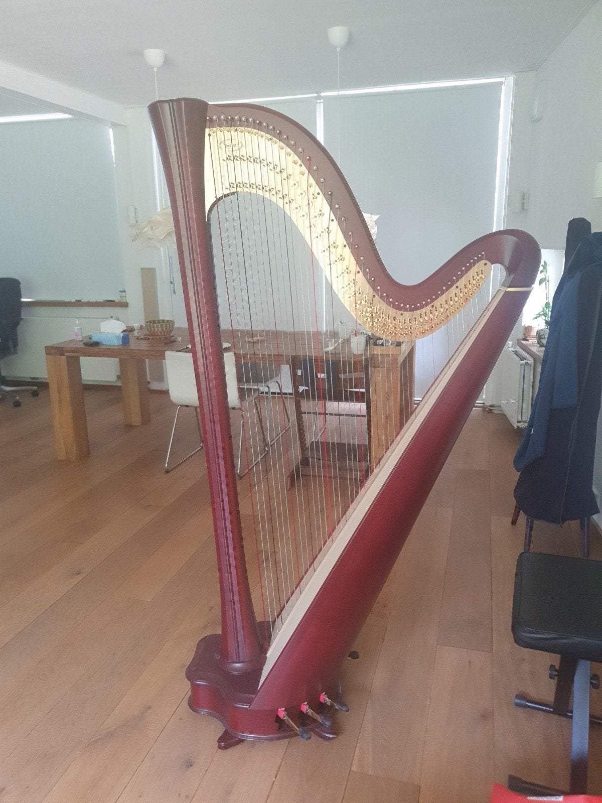 Te huur aangeboden: Salvi Daphne 47S pedaalharp, Ophalen of Verzenden, Zo goed als nieuw