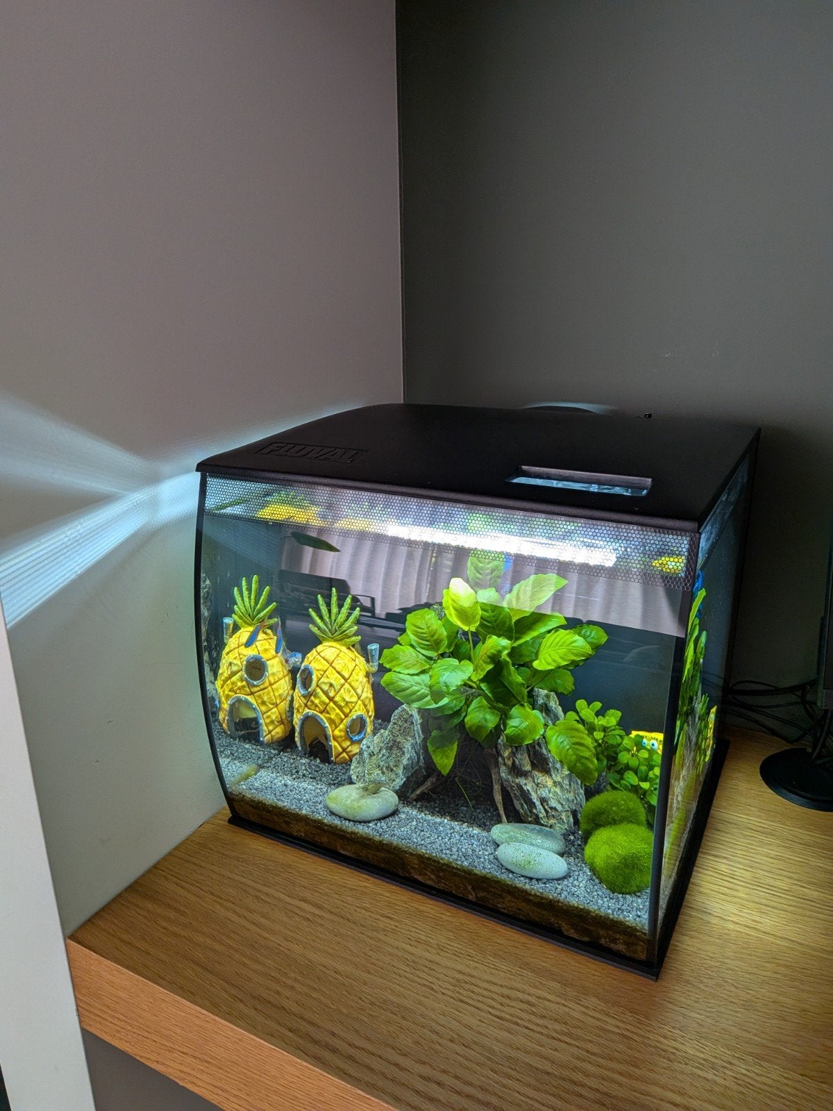 Aquarium Fluval Flex 34 liter, Ophalen