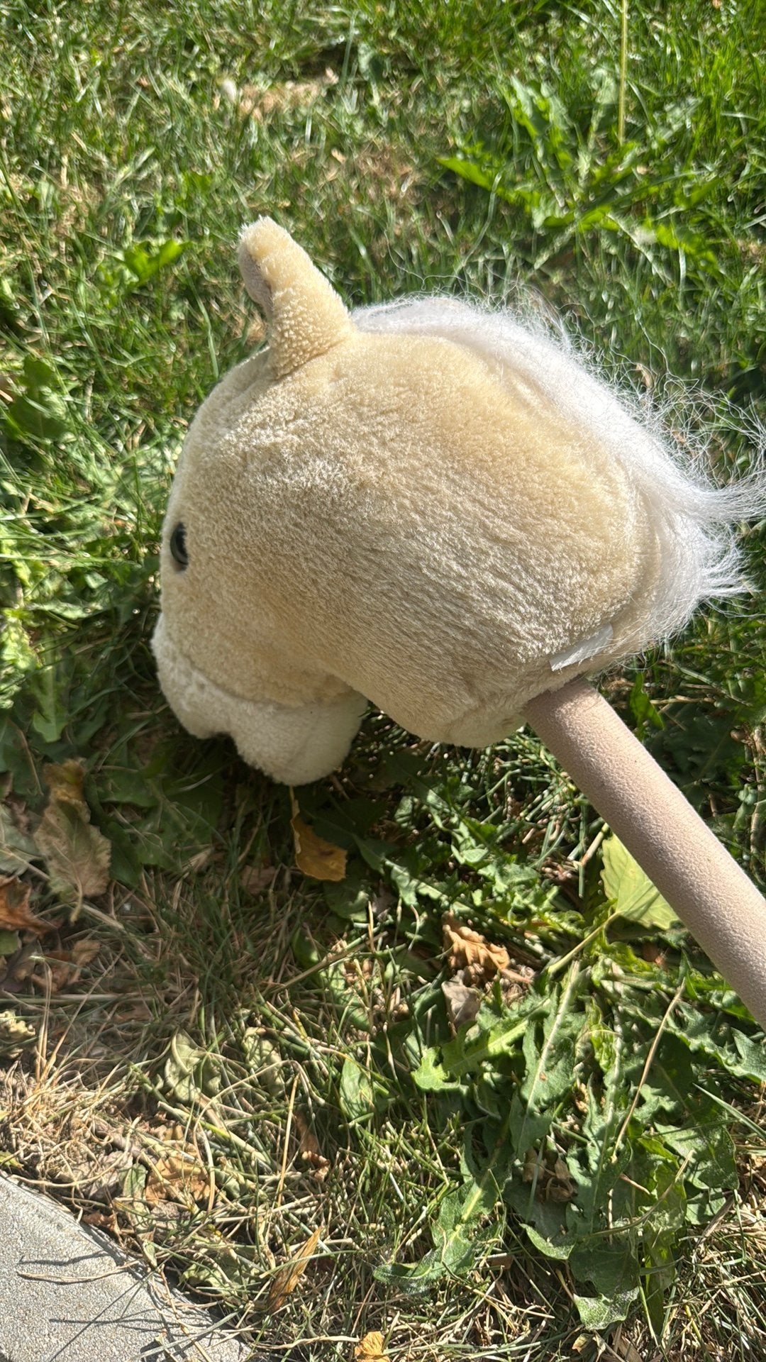 Leuke hobbyhorse, Kinderen en Baby's, Speelgoed | Hobbelfiguren, Zo goed als nieuw, Ophalen of Verzenden
