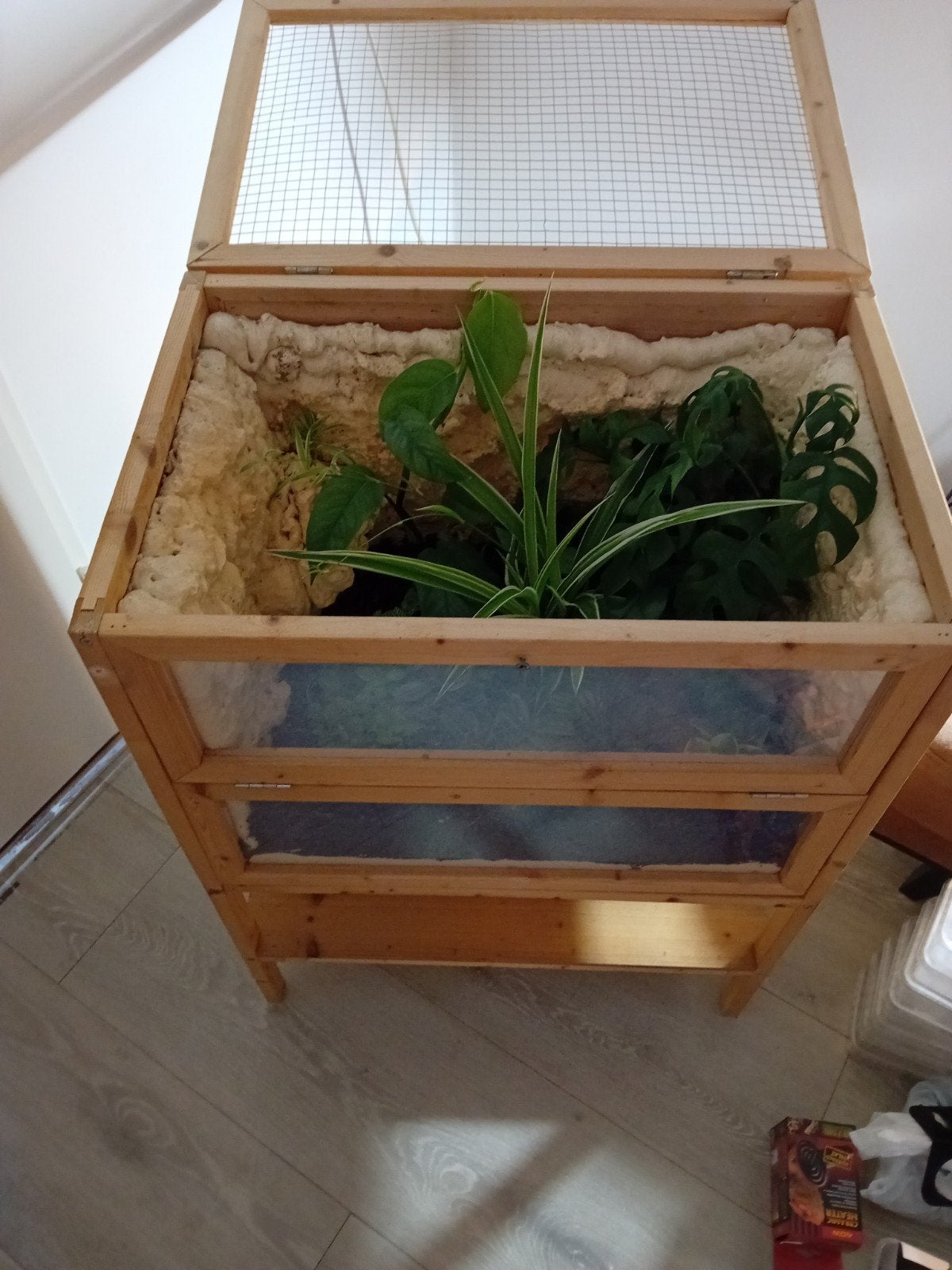 planten terrarium voor reptielen, Dieren en Toebehoren, Ophalen of Verzenden