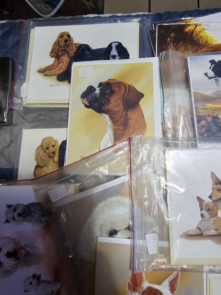 Kaarten Robert  May, ong.200, Hobby en Vrije tijd, Kaarten | Zelf maken, Ophalen of Verzenden, Nieuw, Dieren, Overige typen
