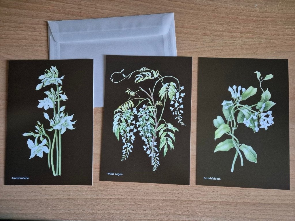 Set van 3 ansichtkaarten Janneke Brinkman, Verzenden, Ongelopen
