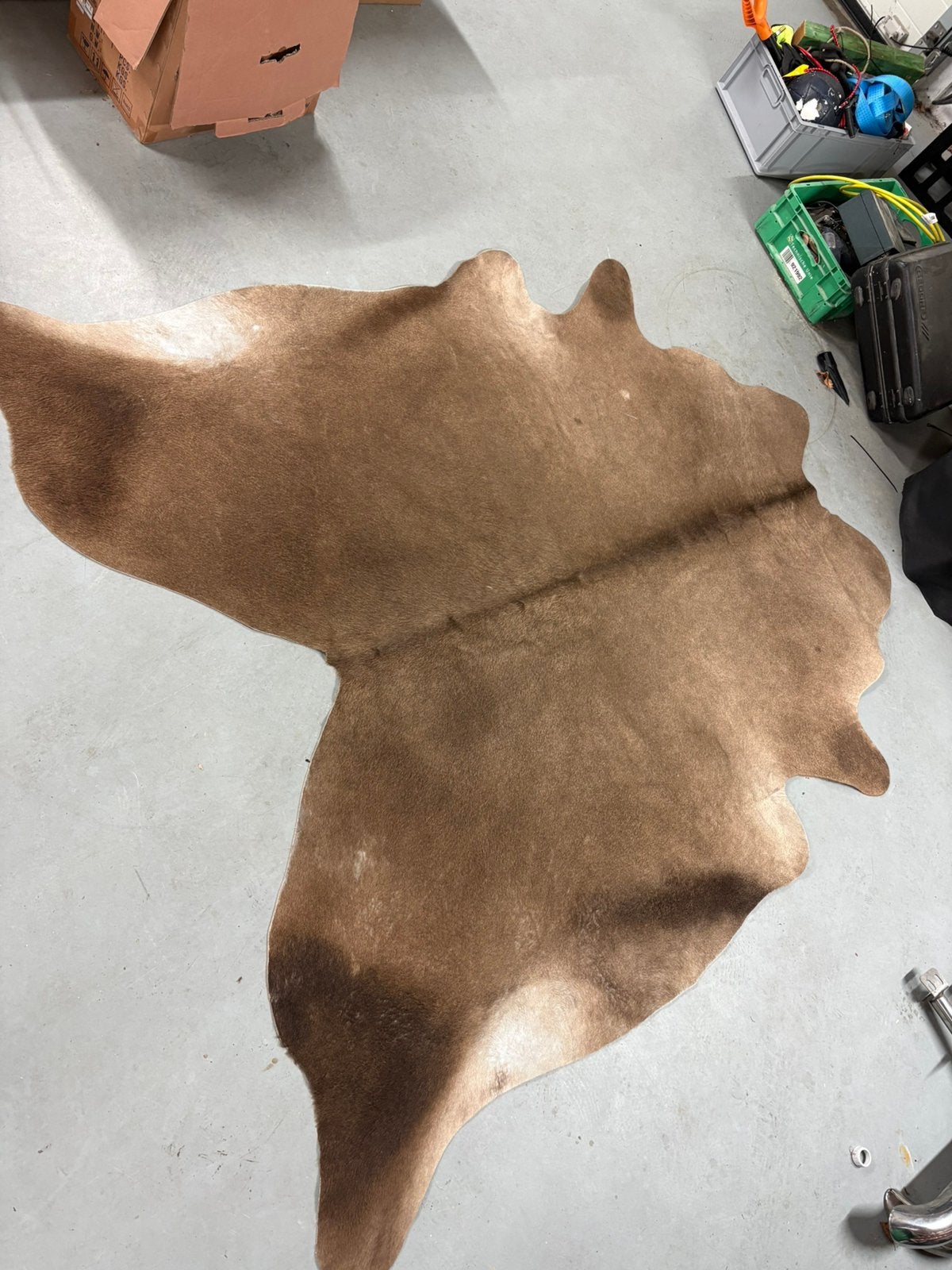 Echte koeienhuid donkerbruin, Ophalen, Bruin, 200 cm of meer, Zo goed als nieuw