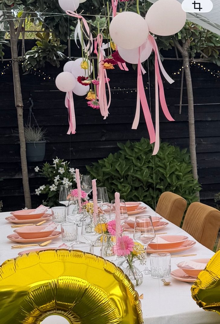 Diner borden set, Ophalen of Verzenden, Zo goed als nieuw, Overige stijlen, Compleet servies