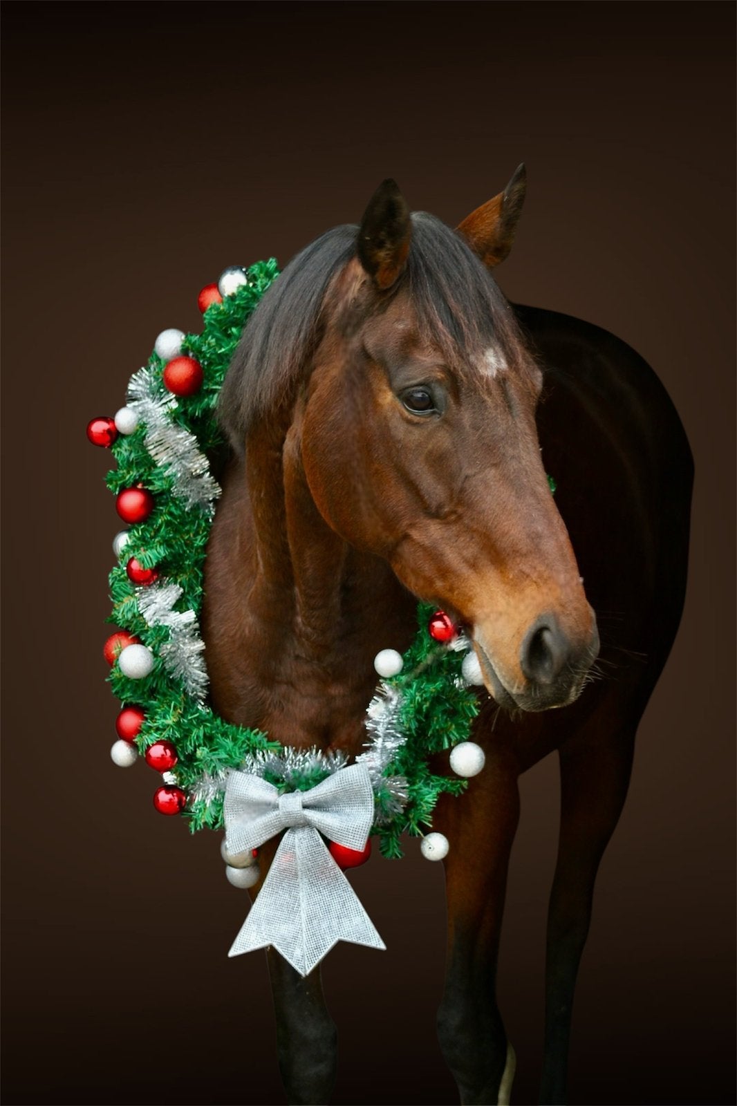 Fotografie kerst krans, Diversen, Ophalen of Verzenden, Zo goed als nieuw