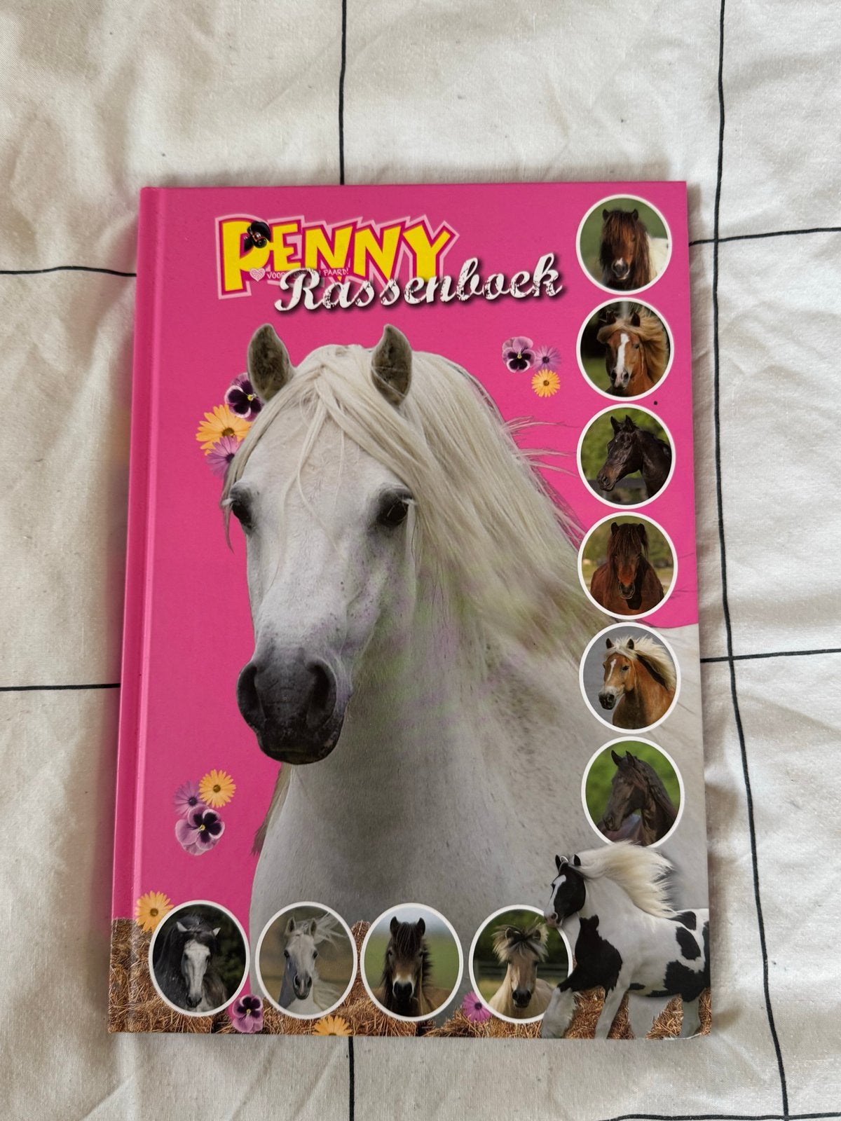 Penny Rassenboek - Leer alles over paarden en pony's!, Ophalen of Verzenden, Zo goed als nieuw