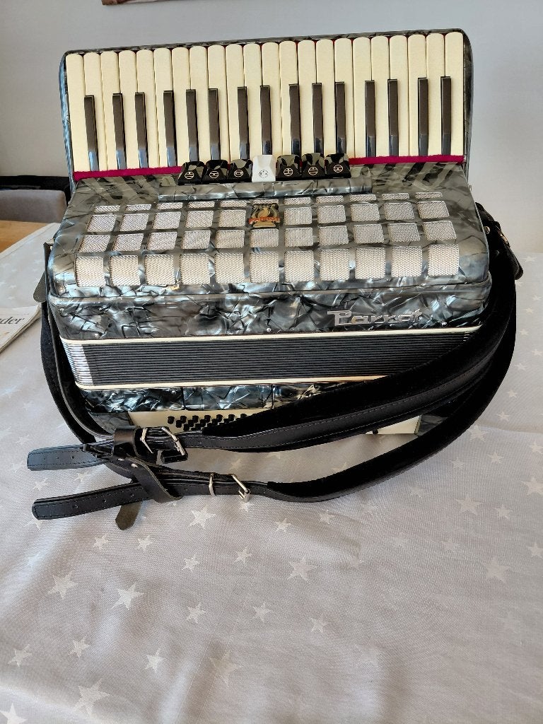 Mooie Parrot 90-bas accordeon, Muziek en Instrumenten, Overige merken, Gebruikt, Met koffer, 96-bas