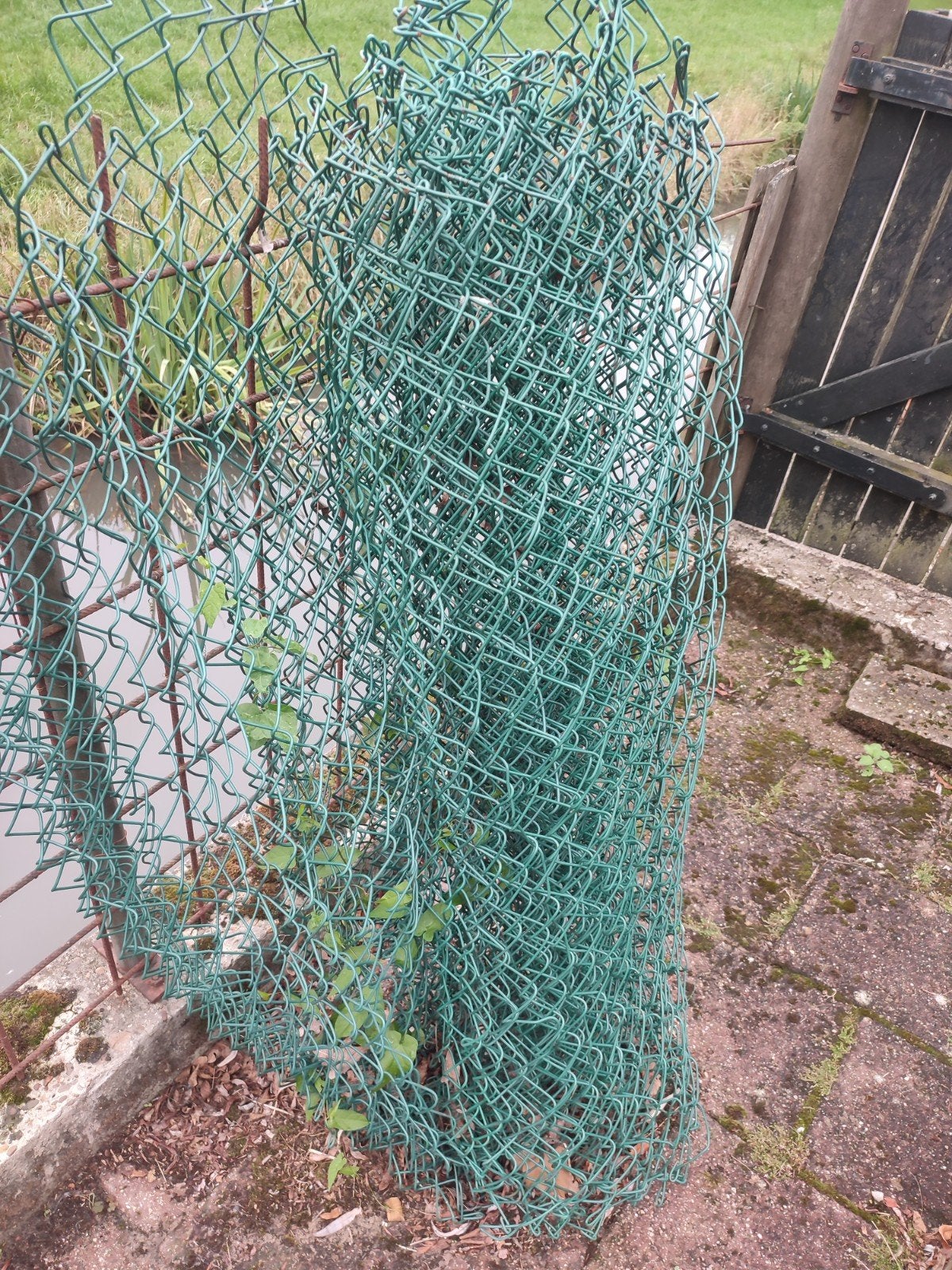 Rol 'oud' gaas, Ophalen, Gebruikt, 10 tot 20 meter, Gaas