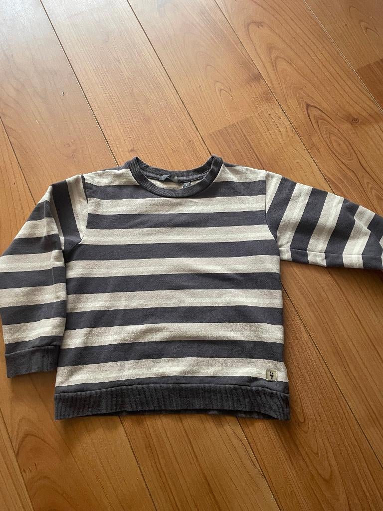 Trui van levv, Gebruikt, Trui of Vest, Ophalen of Verzenden, Jongen