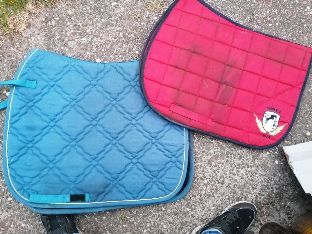 Dekjes sjabrak dressuur full pony, Dieren en Toebehoren, Paarden en Pony's | Dekens en Dekjes, Overige maten, Ophalen of Verzenden