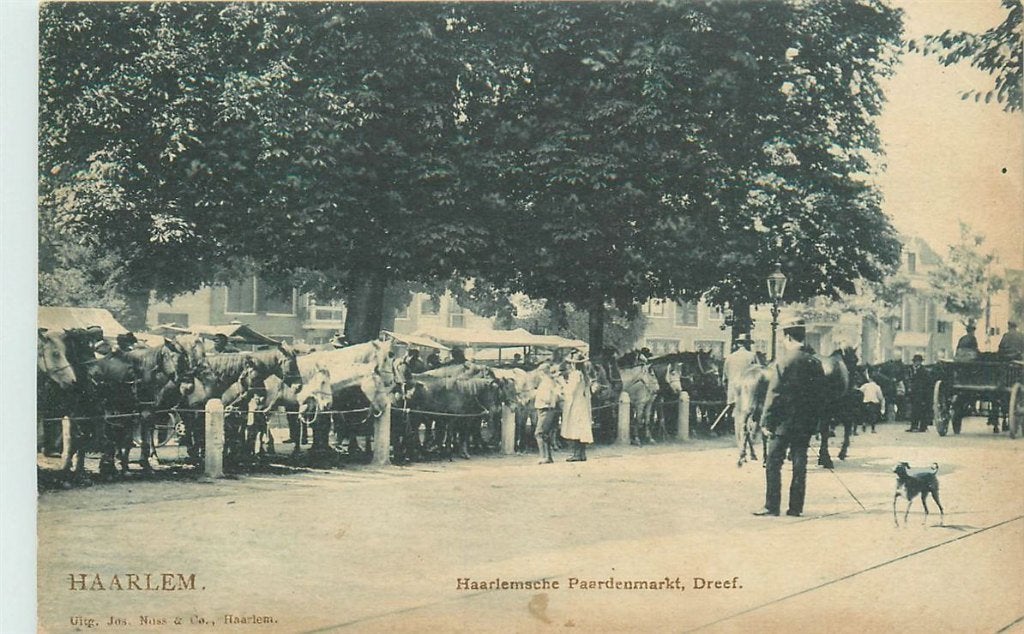 701-181-047 Haarlem Paardenmarkt, Verzamelen, Ansichtkaarten | Nederland, Verzenden, Voor 1920, Noord-Holland