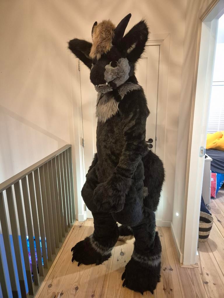 Furred Dragon Fursuit + Extra armsleeves and tail, Ophalen of Verzenden, Zo goed als nieuw, Pak of Jurk