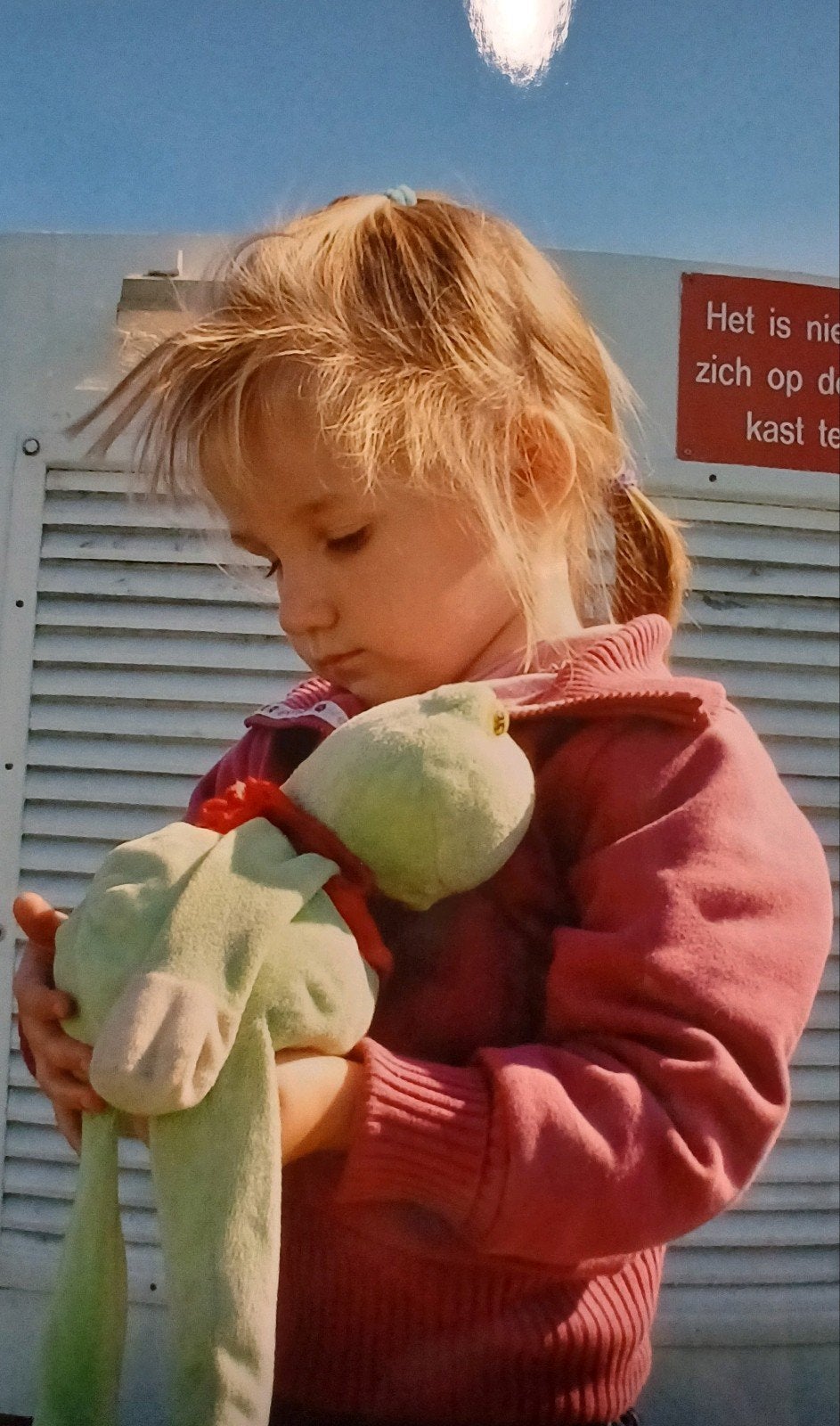 Opzoek naar Evora kikker ️knuffel, Kikker, Groen, Overige merken, Overige karakters