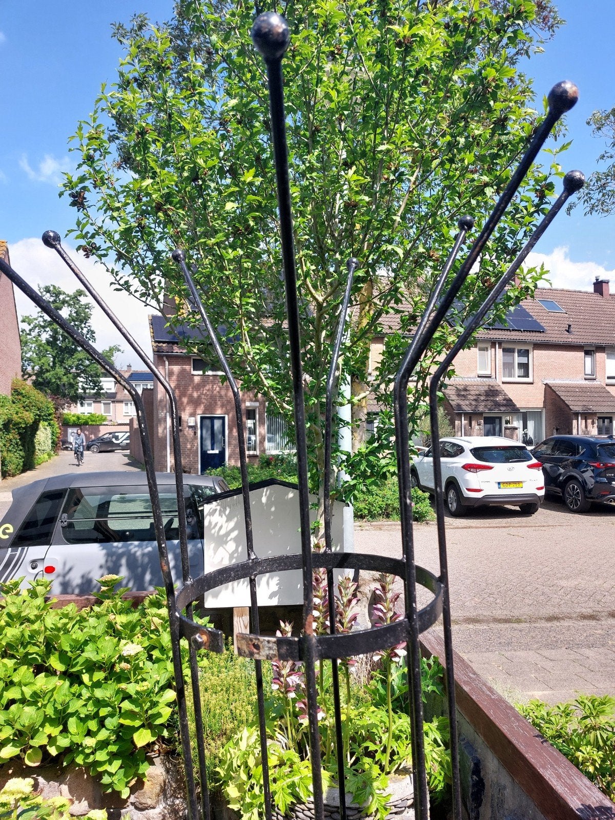 Klimrek voor planten, Tuin en Terras, Ophalen, IJzer