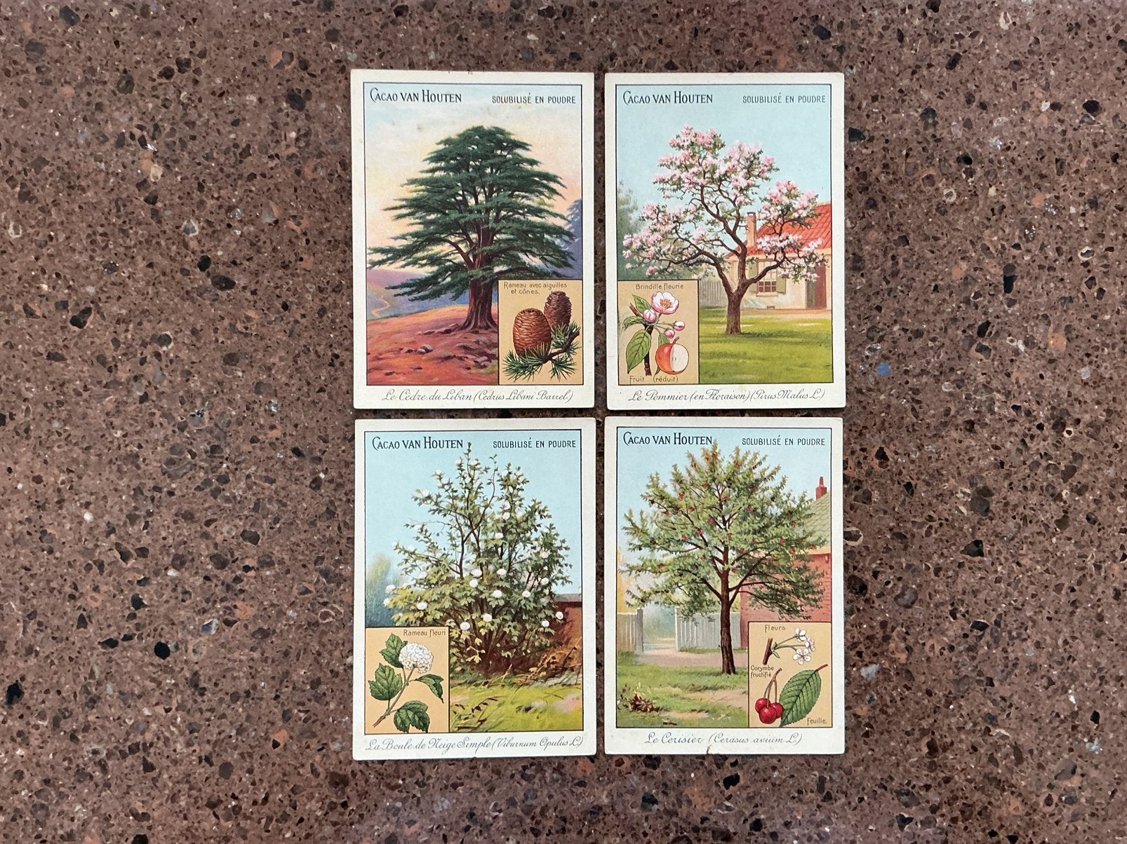 Ansichtkaarten bomen reclame van Houten, Ophalen of Verzenden, Voor 1920, Overige thema's