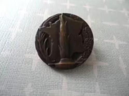 Franse insigne/speld, Comite da la Flamme du Soldat WWI, Verzenden, Overige soorten, Overige gebieden, Lintje, Medaille of Wings