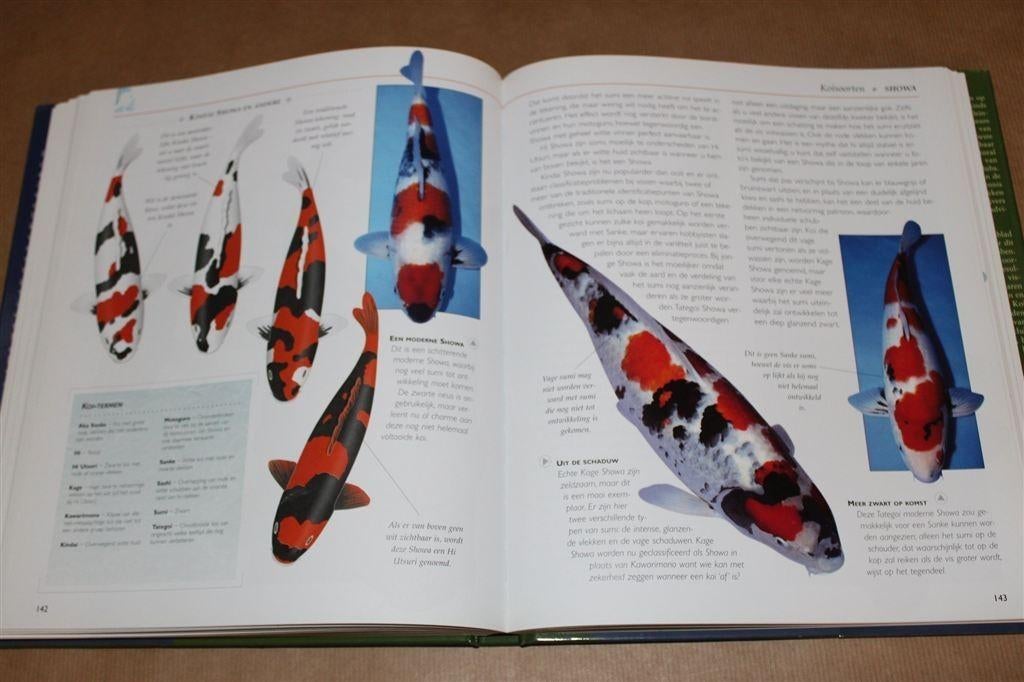 Compleet handboek koi., Ophalen of Verzenden, Gelezen, Katten