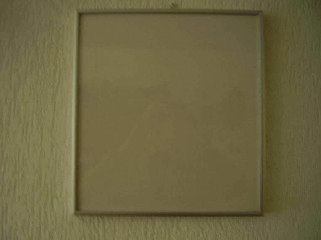 schilderijlijst lijst aluminium schilderij glasplaat sfeer, Overige materialen, Minder dan 50 cm, Nieuw, Ophalen of Verzenden