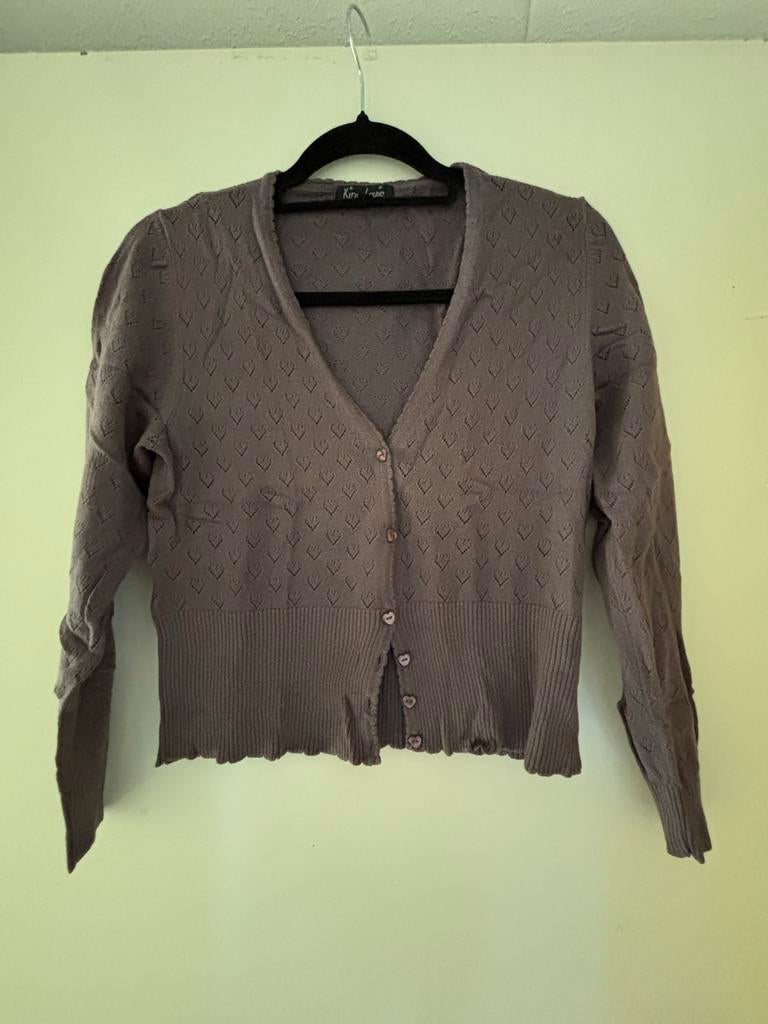 King Louie vestje met  maat L, Kleding | Dames, Truien en Vesten, Ophalen of Verzenden, Gedragen, Maat 42/44 (L), Grijs