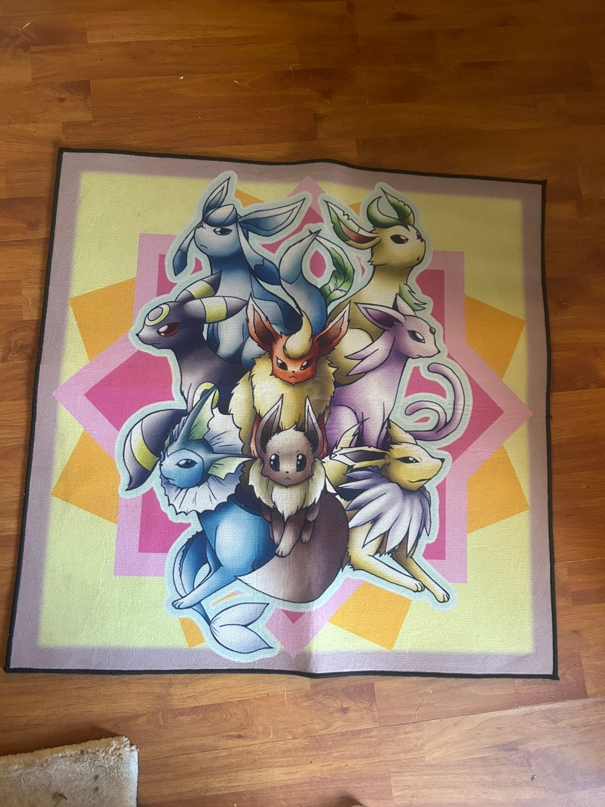 Pokemon eevee eeveelutions vloerkleedje, Ophalen of Verzenden, Zo goed als nieuw, Schilderij