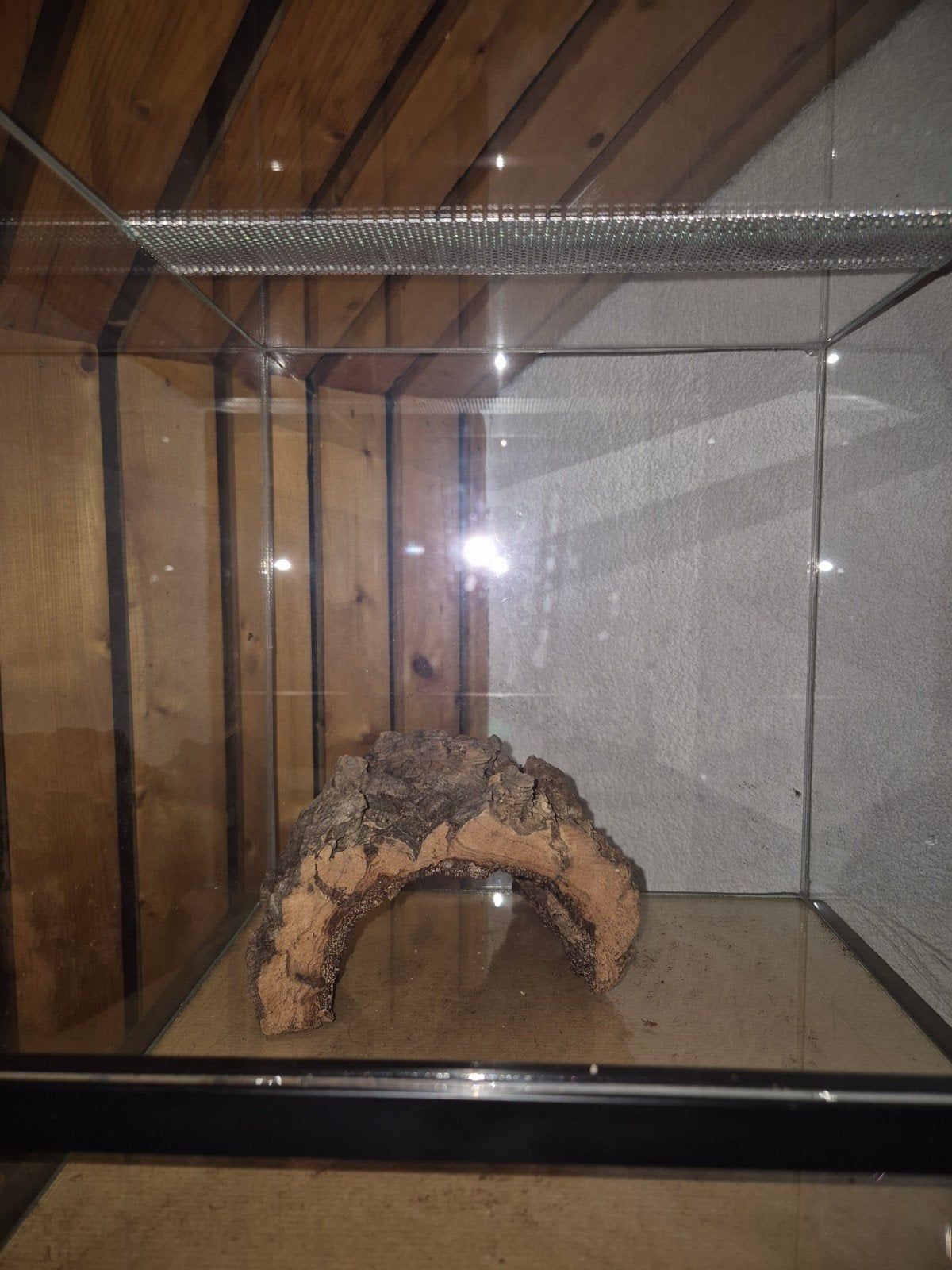 Glazen terrarium van Zoo&Zo, Dieren en Toebehoren, Reptielen en Amfibieën | Toebehoren, Ophalen, Nieuw