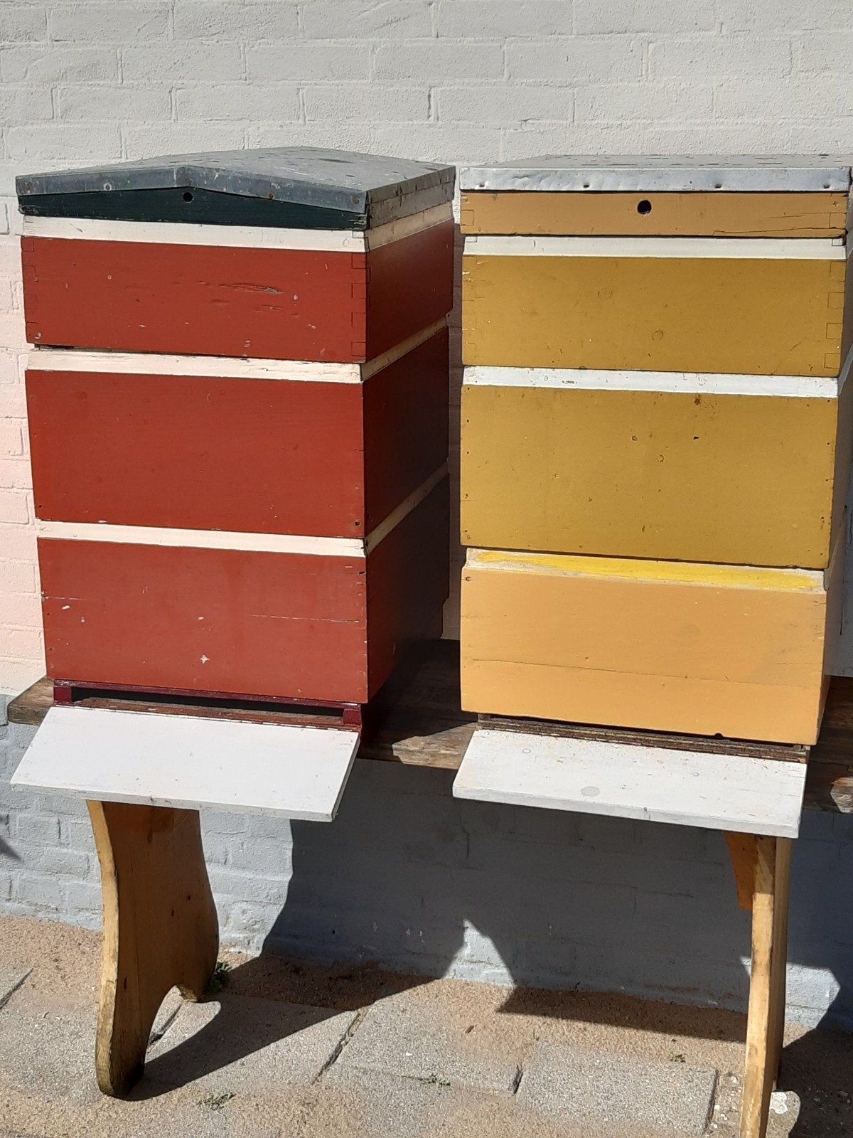 bijen kasten simplex, Dieren en Toebehoren, Bijen