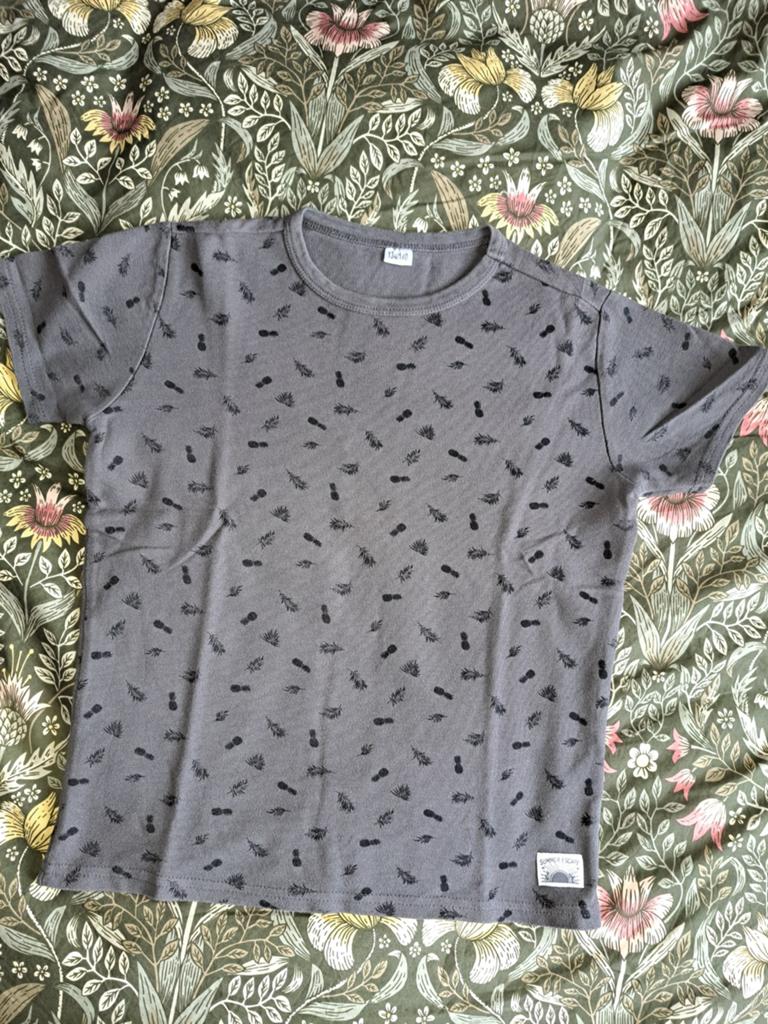 Stoer grijs T-shirt met ananasprint, maat 134-140, Kinderen en Baby's, Kinderkleding | Maat 134, Gebruikt, Ophalen of Verzenden