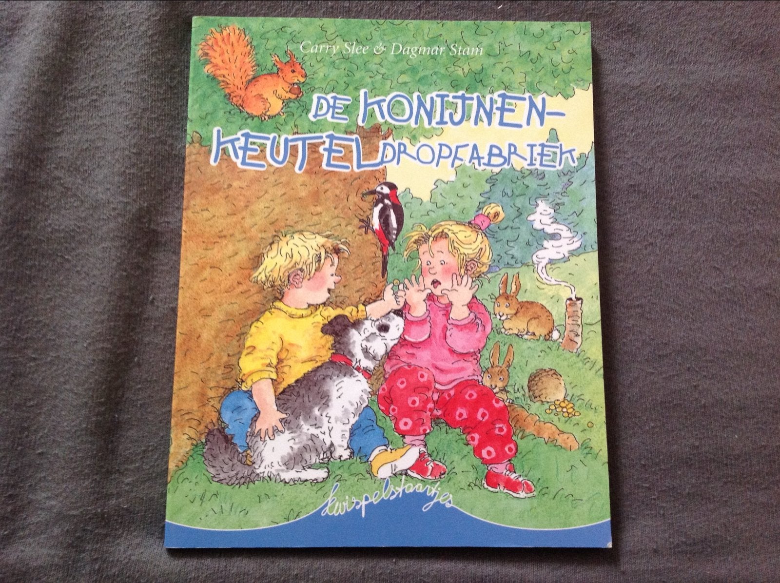 De Konijnenkeuteldropfabriek - Carry Slee & Dagmar Stam, Boeken, Ophalen of Verzenden, Zo goed als nieuw, Fictie algemeen