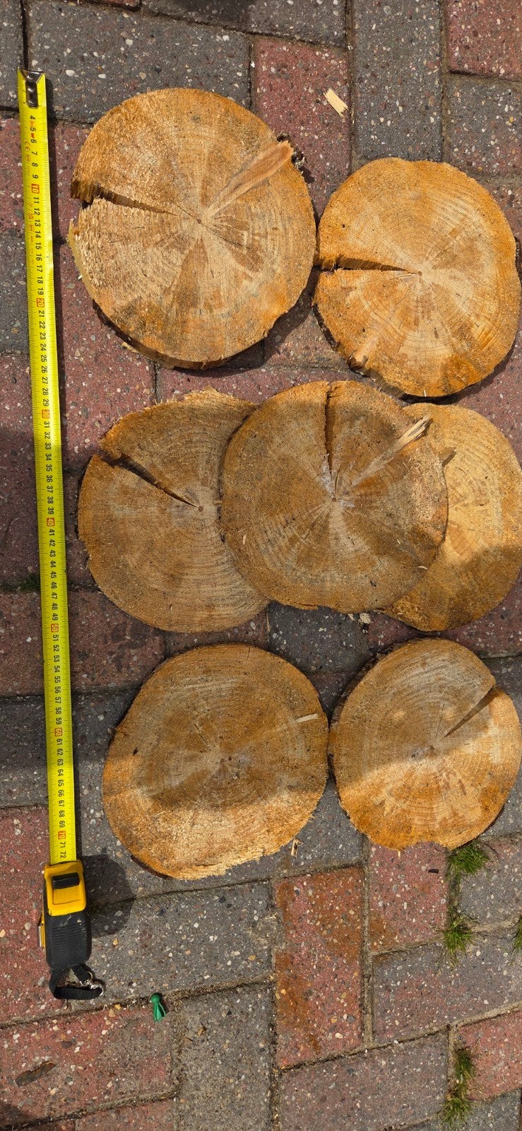 Boomschijven, Tuin en Terras, Ophalen, Minder dan 180 cm, Palen