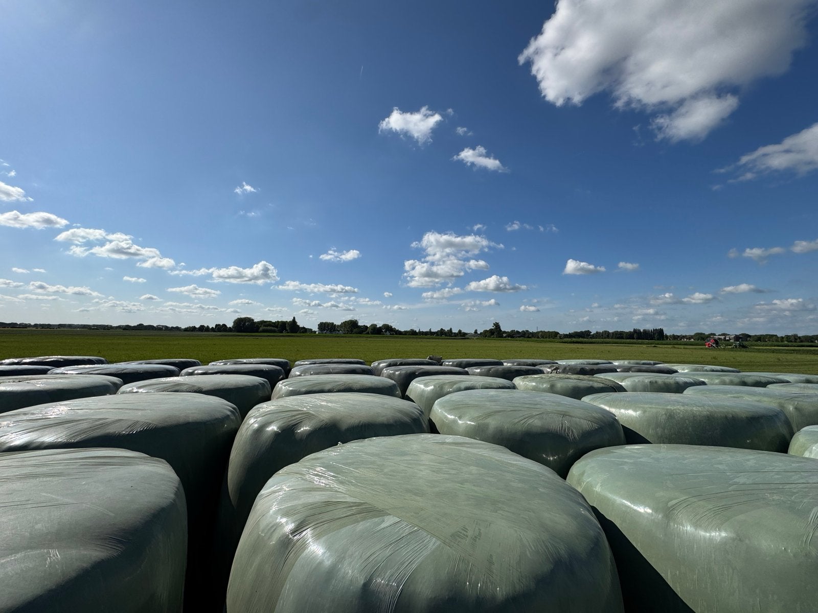 Gewikkelde Hooibalen, Dieren en Toebehoren, Dierenvoeding, Ophalen, Vee