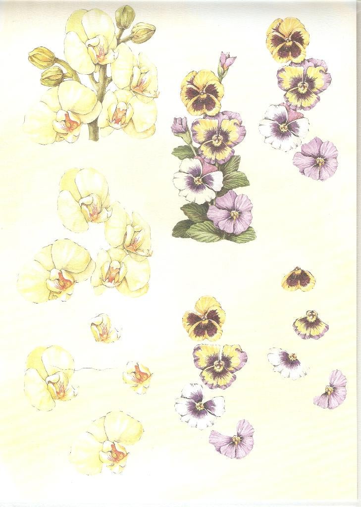 B62 knipvel bloemen viooltjes, Hobby en Vrije tijd, Kaarten | Zelf maken, Ophalen of Verzenden, Nieuw, Natuur, Knipvel