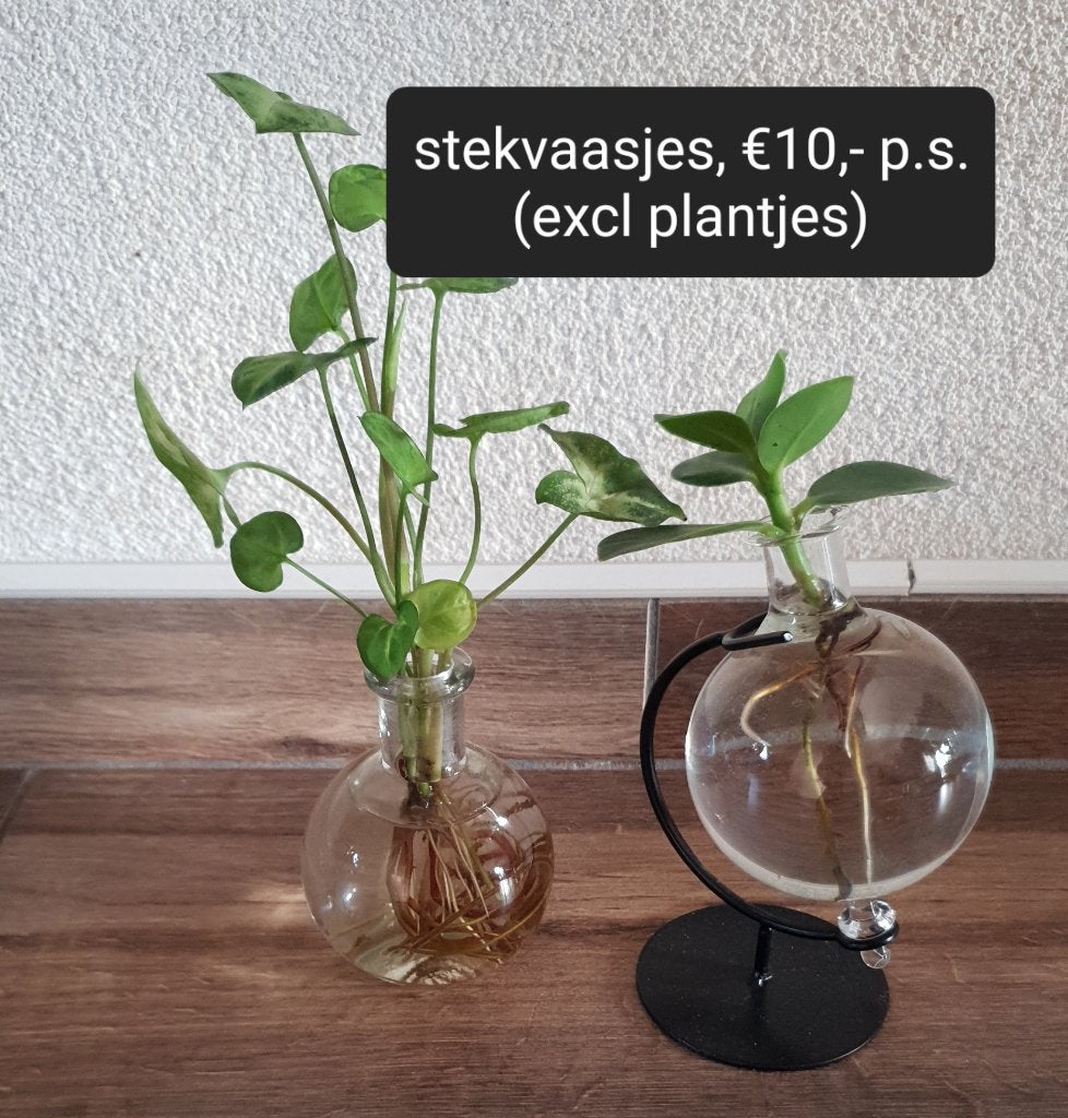 2x Stekglaasjes decoratief, Overige materialen, Gebruikt, Rond, Binnen