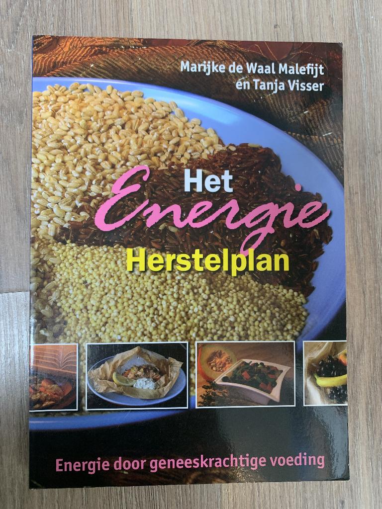 Het energie herstelplan, Ophalen of Verzenden, Zo goed als nieuw, Marijke de Waal Malefijn en Tanja Visser