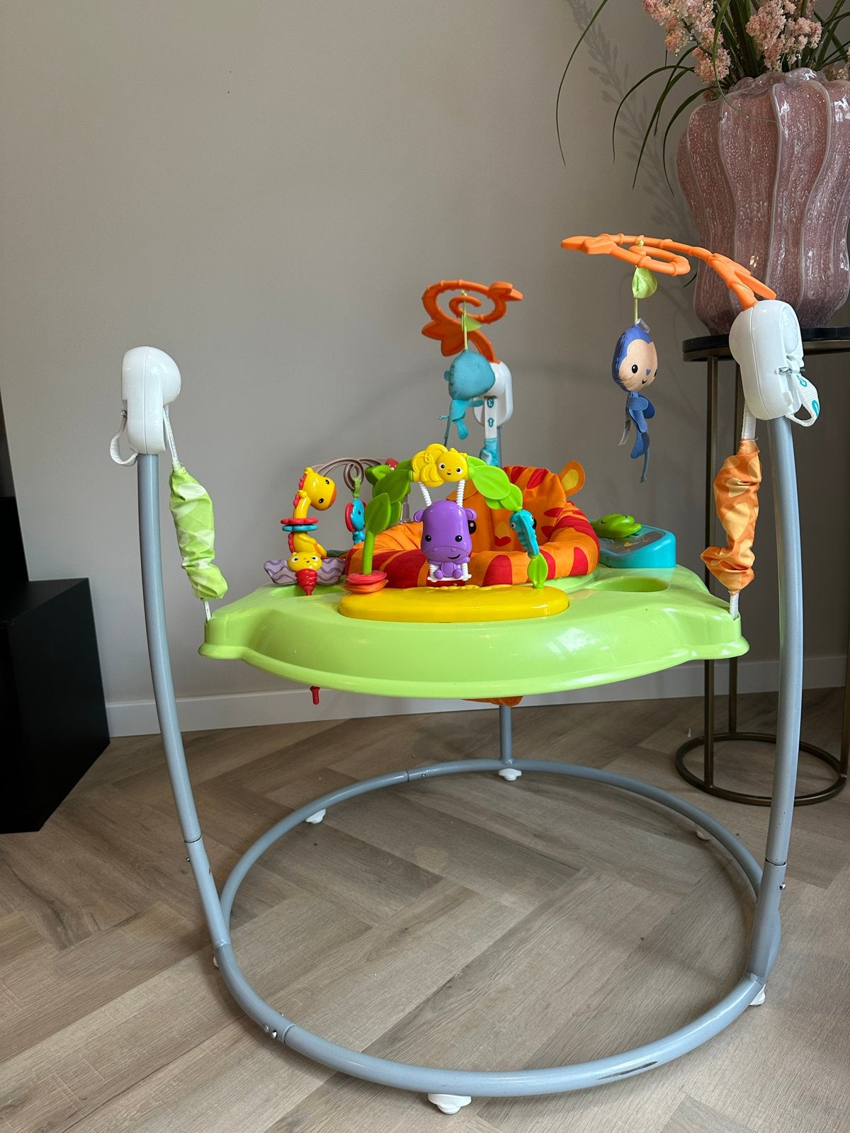 Fisher-Price Jumperoo Rainforest Bouncer - Zo goed als nieuw, Ophalen, Zo goed als nieuw, Overige typen, Met licht