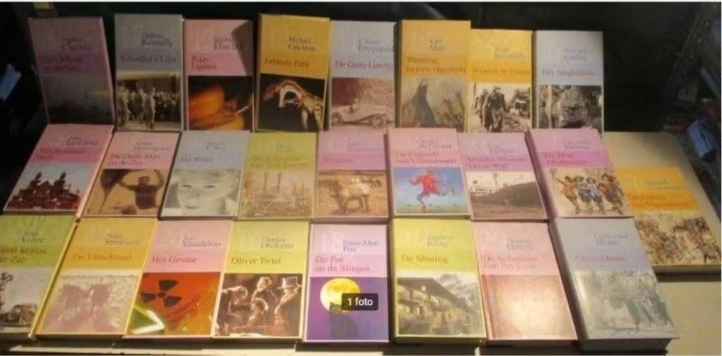 25 Bekende Nederlandstalige Literatuur Boeken, Boeken, Ophalen of Verzenden, Zo goed als nieuw