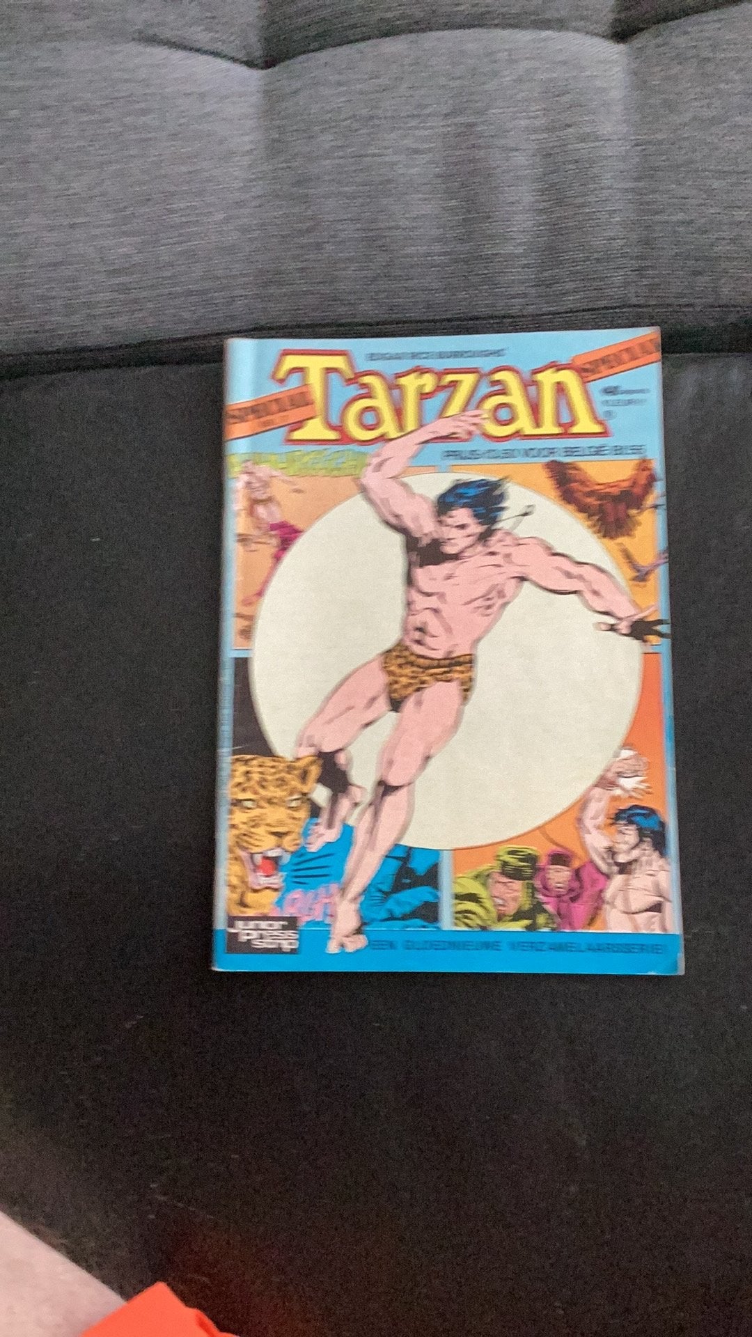 Tarzan Special Comic - Junior Press Strip, Boeken, Strips | Comics, Eén comic, Ophalen of Verzenden, Gelezen, Amerika