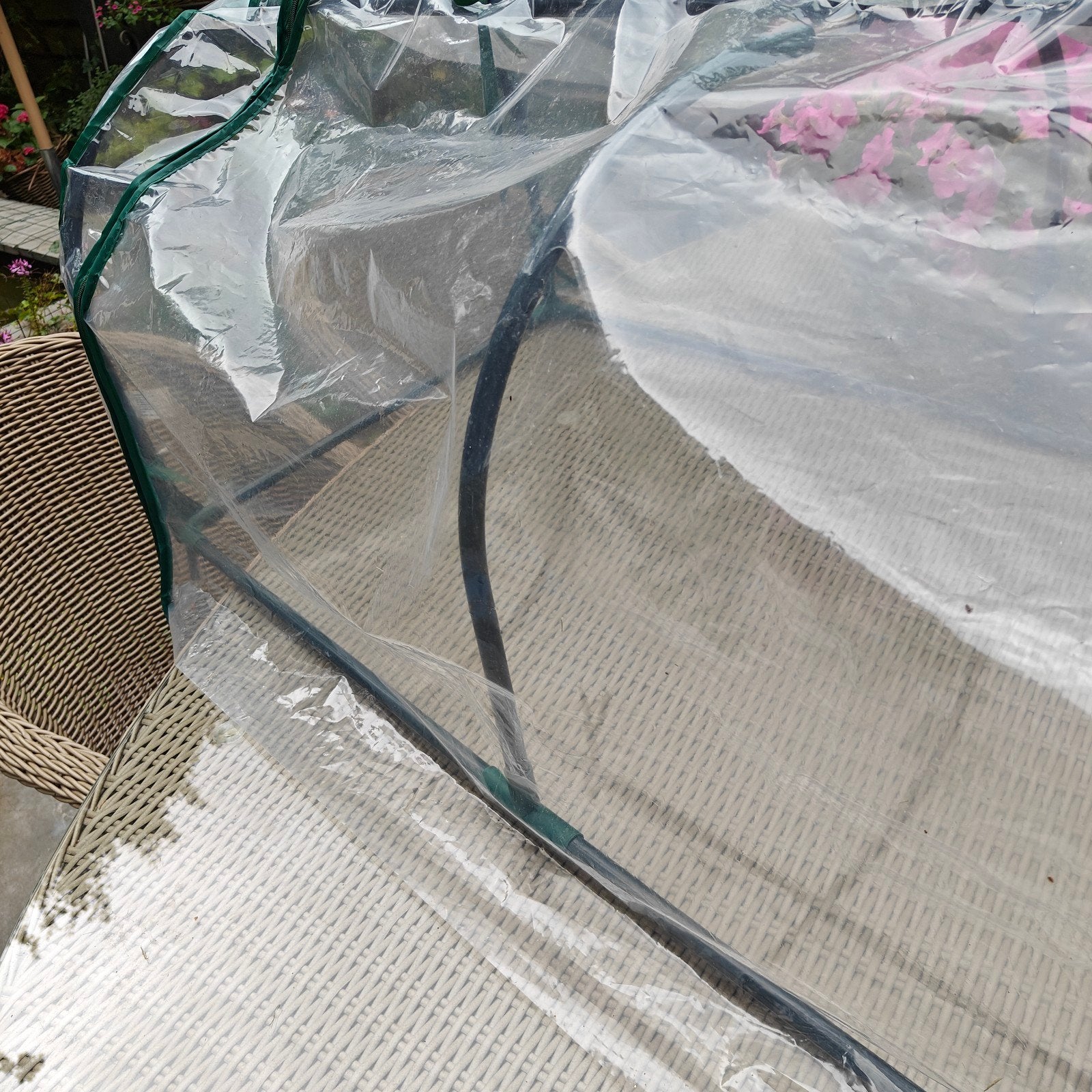Kleine kweekkas voor planten en zaailingen, Tuin en Terras, Ophalen of Verzenden